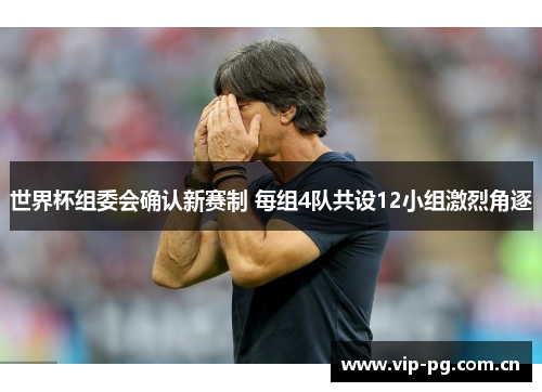 世界杯组委会确认新赛制 每组4队共设12小组激烈角逐
